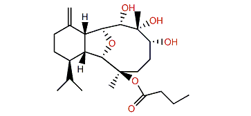 6-epi-Litophynol B